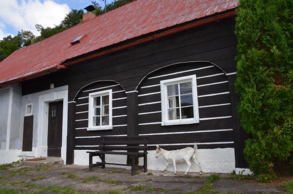 Penzion U Kozy Chřibská Exteriör bild
