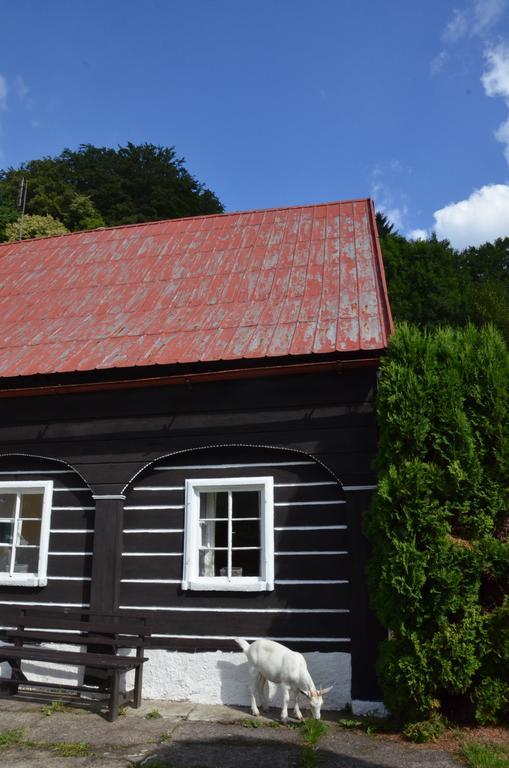 Penzion U Kozy Chřibská Exteriör bild