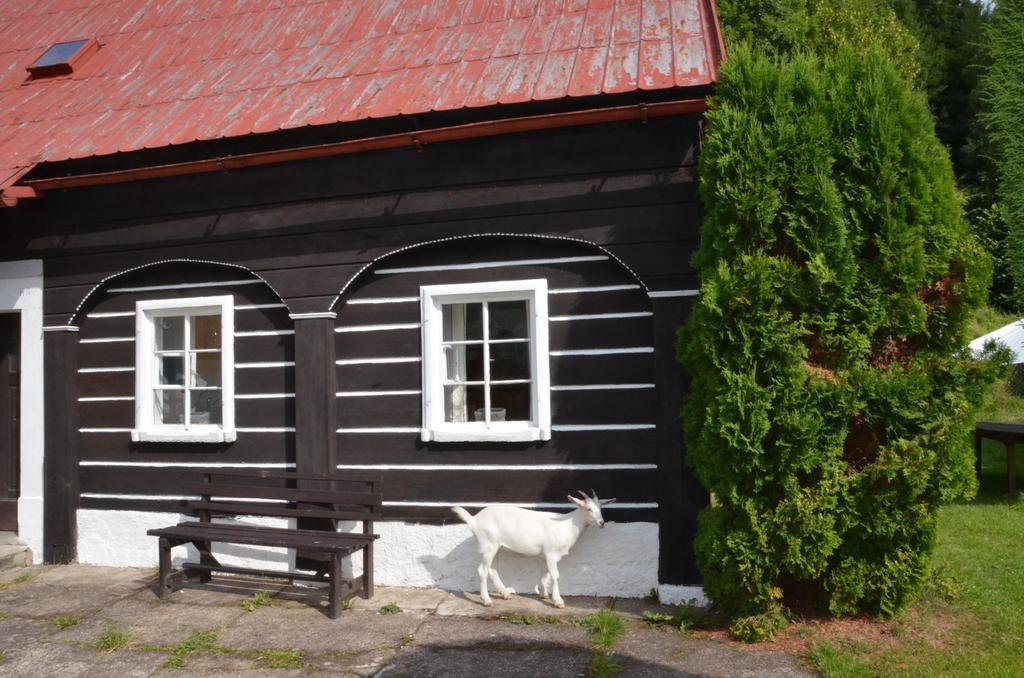 Penzion U Kozy Chřibská Exteriör bild
